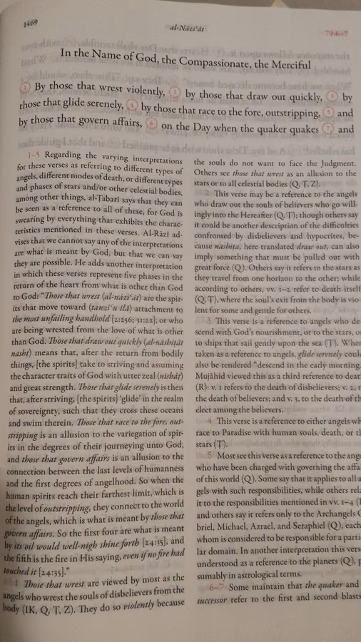 The Study Quran: A Study of the Quran with Classical Commentary image 4